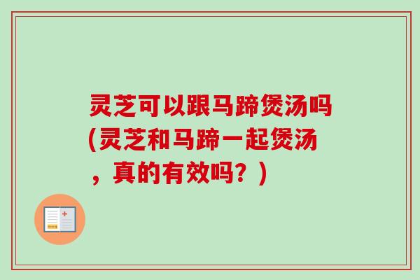 灵芝可以跟马蹄煲汤吗(灵芝和马蹄一起煲汤，真的有效吗？)-第1张图片-卓越灵芝孢子粉