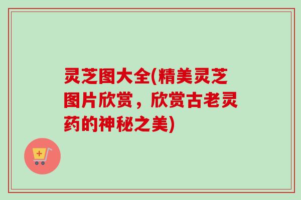 灵芝图大全(精美灵芝图片欣赏,欣赏古老灵药的神秘之美)-第1张图片-卓越灵芝孢子粉 灵芝图大全(精美灵芝图片欣赏,欣赏古老灵药的神秘之美)-第1张图片-卓越灵芝孢子粉
