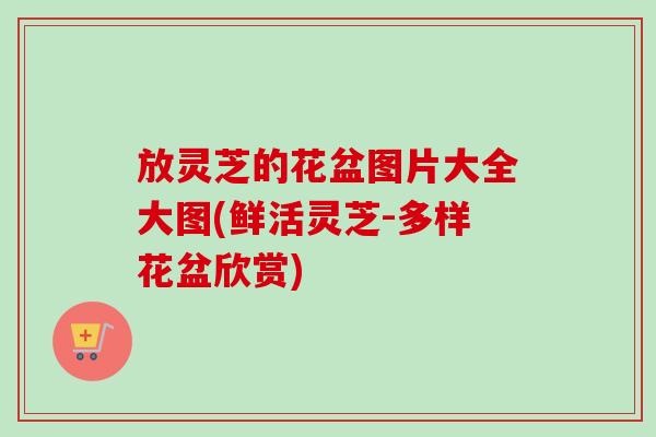 放灵芝的花盆图片大全大图(鲜活灵芝-多样花盆欣赏)-第1张图片-卓越灵芝孢子粉