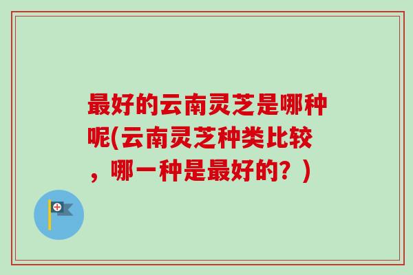 最好的云南灵芝是哪种呢(云南灵芝种类比较,哪一种是最好的?)-第1张图片-卓越灵芝孢子粉 最好的云南灵芝是哪种呢(云南灵芝种类比较,哪一种是最好的?)-第1张图片-卓越灵芝孢子粉