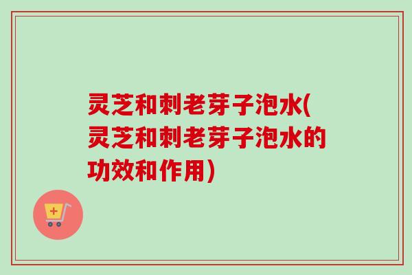 灵芝和刺老芽子泡水(灵芝和刺老芽子泡水的功效和作用)-第1张图片-卓越灵芝孢子粉