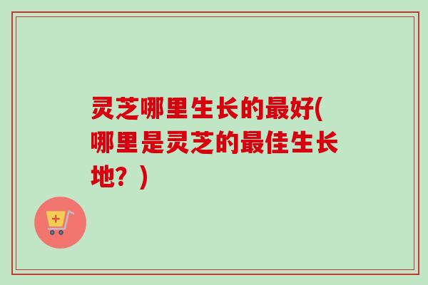 灵芝哪里生长的最好(哪里是灵芝的最佳生长地?)-第1张图片-卓越灵芝孢子粉 灵芝哪里生长的最好(哪里是灵芝的最佳生长地?)-第1张图片-卓越灵芝孢子粉