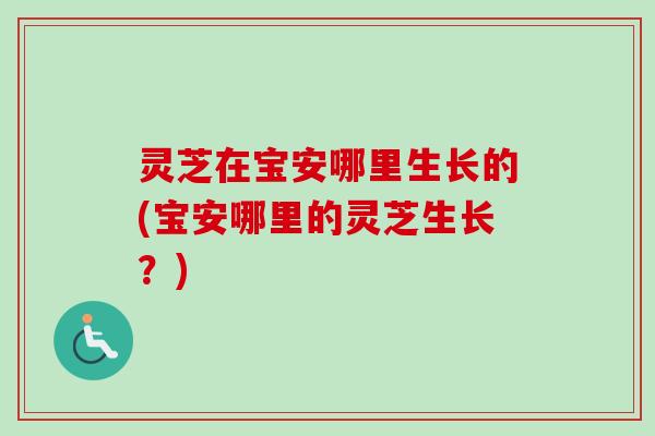灵芝在宝安哪里生长的(宝安哪里的灵芝生长?)-第1张图片-卓越灵芝孢子粉 灵芝在宝安哪里生长的(宝安哪里的灵芝生长?)-第1张图片-卓越灵芝孢子粉