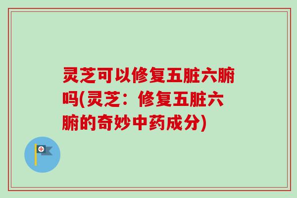 灵芝可以修复五脏六腑吗(灵芝:修复五脏六腑的奇妙中药成分)-第1张图片-卓越灵芝孢子粉 灵芝可以修复五脏六腑吗(灵芝:修复五脏六腑的奇妙中药成分)-第1张图片-卓越灵芝孢子粉
