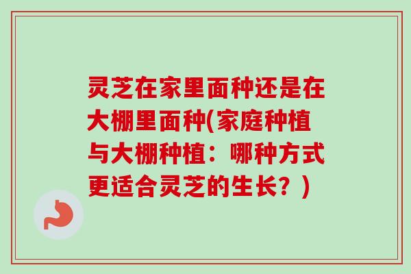 灵芝在家里面种还是在大棚里面种(家庭种植与大棚种植：哪种方式更适合灵芝的生长？)-第1张图片-卓越灵芝孢子粉