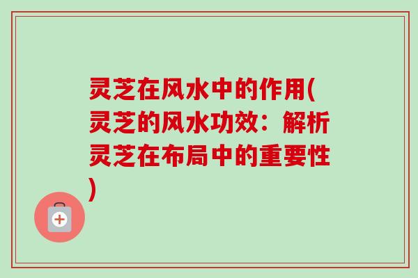 灵芝在风水中的作用(灵芝的风水功效:解析灵芝在布局中的重要性)-第1张图片-卓越灵芝孢子粉 灵芝在风水中的作用(灵芝的风水功效:解析灵芝在布局中的重要性)-第1张图片-卓越灵芝孢子粉