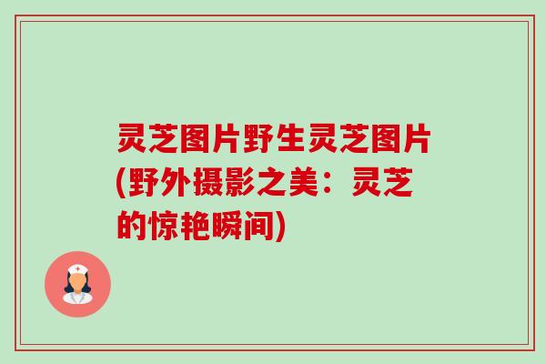 灵芝图片野生灵芝图片(野外摄影之美:灵芝的惊艳瞬间)-第1张图片-卓越灵芝孢子粉 灵芝图片野生灵芝图片(野外摄影之美:灵芝的惊艳瞬间)-第1张图片-卓越灵芝孢子粉