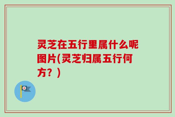 灵芝在五行里属什么呢图片(灵芝归属五行何方?)-第1张图片-卓越灵芝孢子粉 灵芝在五行里属什么呢图片(灵芝归属五行何方?)-第1张图片-卓越灵芝孢子粉