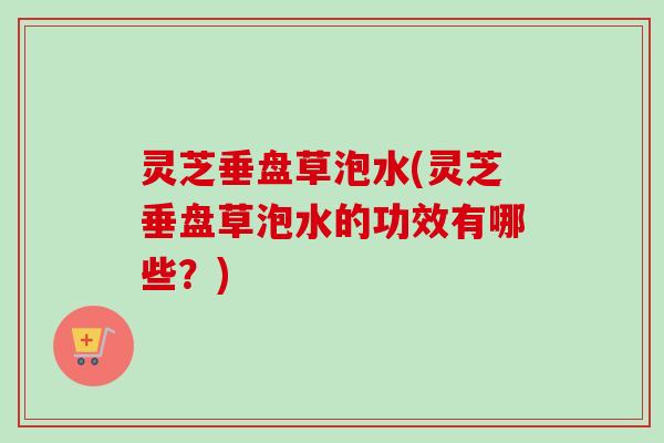 灵芝垂盘草泡水(灵芝垂盘草泡水的功效有哪些?)-第1张图片-卓越灵芝孢子粉 灵芝垂盘草泡水(灵芝垂盘草泡水的功效有哪些?)-第1张图片-卓越灵芝孢子粉