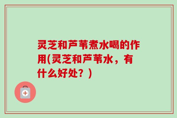 灵芝和芦苇煮水喝的作用(灵芝和芦苇水，有什么好处？)-第1张图片-卓越灵芝孢子粉