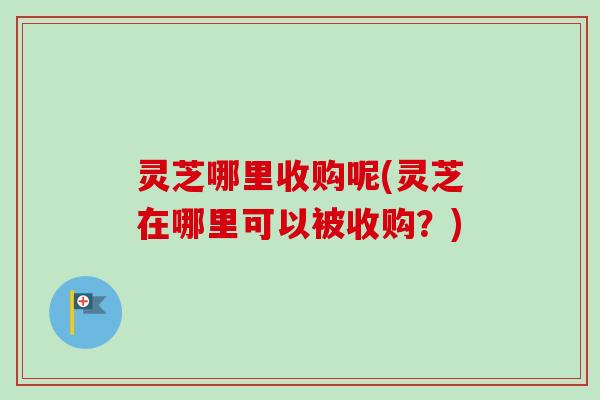 灵芝哪里收购呢(灵芝在哪里可以被收购?)-第1张图片-卓越灵芝孢子粉 灵芝哪里收购呢(灵芝在哪里可以被收购?)-第1张图片-卓越灵芝孢子粉