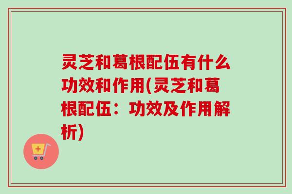 灵芝和葛根配伍有什么功效和作用(灵芝和葛根配伍:功效及作用解析)-第1张图片-卓越灵芝孢子粉 灵芝和葛根配伍有什么功效和作用(灵芝和葛根配伍:功效及作用解析)-第1张图片-卓越灵芝孢子粉