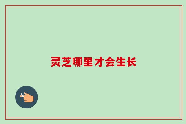 灵芝哪里才会生长-第1张图片-卓越灵芝孢子粉 灵芝哪里才会生长-第1张图片-卓越灵芝孢子粉