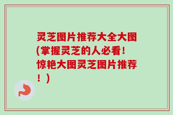 灵芝图片推荐大全大图(掌握灵芝的人必看！惊艳大图灵芝图片推荐！)-第1张图片-卓越灵芝孢子粉