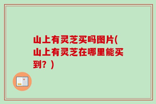 山上有灵芝买吗图片(山上有灵芝在哪里能买到?)-第1张图片-卓越灵芝孢子粉 山上有灵芝买吗图片(山上有灵芝在哪里能买到?)-第1张图片-卓越灵芝孢子粉