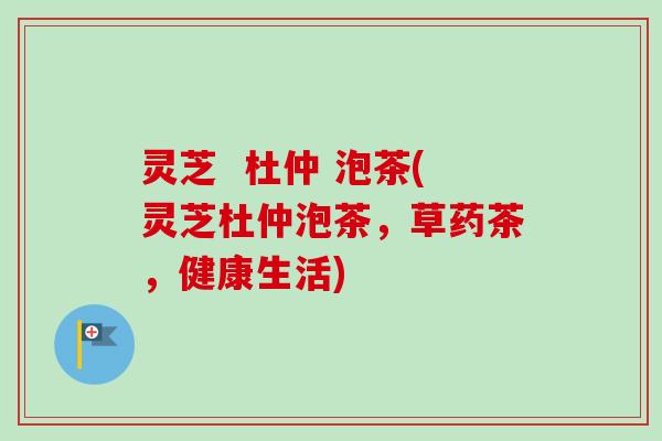 灵芝  杜仲 泡茶(灵芝杜仲泡茶，草药茶，健康生活)-第1张图片-卓越灵芝孢子粉