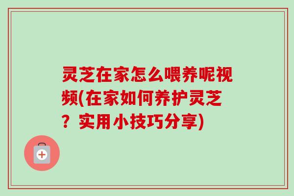 灵芝在家怎么喂养呢视频(在家如何养护灵芝?实用小技巧分享)-第1张图片-卓越灵芝孢子粉 灵芝在家怎么喂养呢视频(在家如何养护灵芝?实用小技巧分享)-第1张图片-卓越灵芝孢子粉