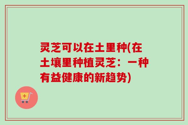灵芝可以在土里种(在土壤里种植灵芝:一种有益健康的新趋势)-第1张图片-卓越灵芝孢子粉 灵芝可以在土里种(在土壤里种植灵芝:一种有益健康的新趋势)-第1张图片-卓越灵芝孢子粉