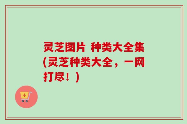 灵芝图片 种类大全集(灵芝种类大全,一网打尽!)-第1张图片-卓越灵芝孢子粉 灵芝图片 种类大全集(灵芝种类大全,一网打尽!)-第1张图片-卓越灵芝孢子粉