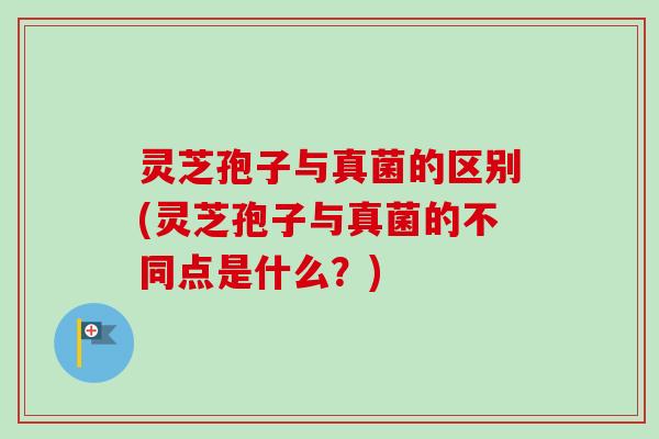 灵芝孢子与真菌的区别(灵芝孢子与真菌的不同点是什么?)-第1张图片-卓越灵芝孢子粉 灵芝孢子与真菌的区别(灵芝孢子与真菌的不同点是什么?)-第1张图片-卓越灵芝孢子粉