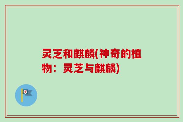 灵芝和麒麟(神奇的植物:灵芝与麒麟)-第1张图片-卓越灵芝孢子粉 灵芝和麒麟(神奇的植物:灵芝与麒麟)-第1张图片-卓越灵芝孢子粉