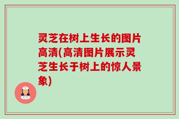 灵芝在树上生长的图片高清(高清图片展示灵芝生长于树上的惊人景象)-第1张图片-卓越灵芝孢子粉 灵芝在树上生长的图片高清(高清图片展示灵芝生长于树上的惊人景象)-第1张图片-卓越灵芝孢子粉