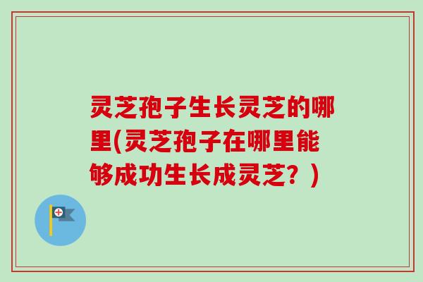 灵芝孢子生长灵芝的哪里(灵芝孢子在哪里能够成功生长成灵芝?)-第1张图片-卓越灵芝孢子粉 灵芝孢子生长灵芝的哪里(灵芝孢子在哪里能够成功生长成灵芝?)-第1张图片-卓越灵芝孢子粉