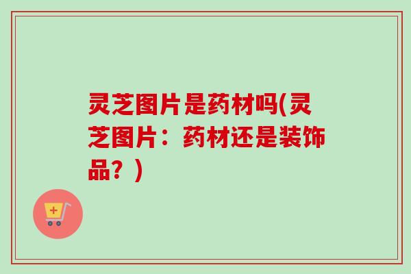 灵芝图片是药材吗(灵芝图片：药材还是装饰品？)-第1张图片-卓越灵芝孢子粉