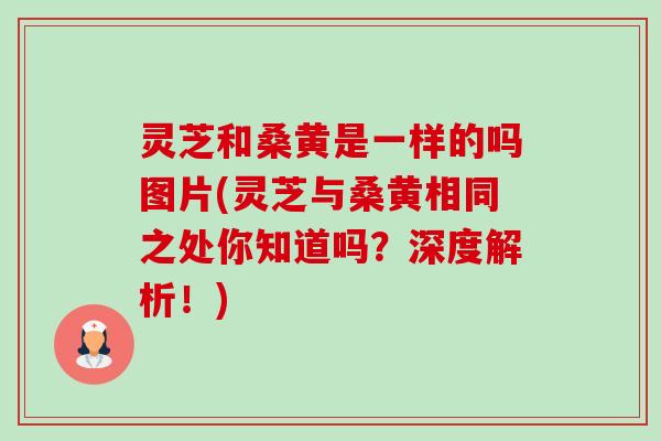 灵芝和桑黄是一样的吗图片(灵芝与桑黄相同之处你知道吗?深度解析!)-第1张图片-卓越灵芝孢子粉 灵芝和桑黄是一样的吗图片(灵芝与桑黄相同之处你知道吗?深度解析!)-第1张图片-卓越灵芝孢子粉
