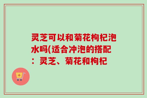 灵芝可以和菊花枸杞泡水吗(适合冲泡的搭配：灵芝、菊花和枸杞-第1张图片-卓越灵芝孢子粉