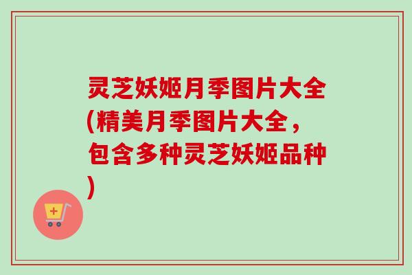 灵芝妖姬月季图片大全(精美月季图片大全,包含多种灵芝妖姬品种)-第1张图片-卓越灵芝孢子粉 灵芝妖姬月季图片大全(精美月季图片大全,包含多种灵芝妖姬品种)-第1张图片-卓越灵芝孢子粉