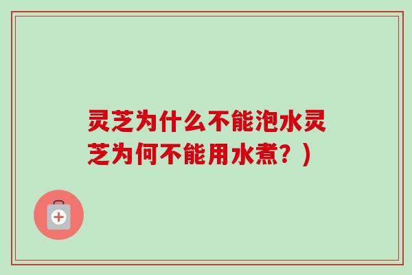 灵芝为什么不能泡水灵芝为何不能用水煮?)-第1张图片-卓越灵芝孢子粉 灵芝为什么不能泡水灵芝为何不能用水煮?)-第1张图片-卓越灵芝孢子粉