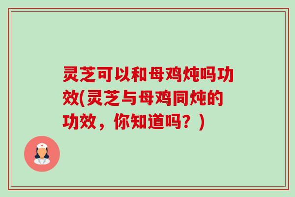 灵芝可以和母鸡炖吗功效(灵芝与母鸡同炖的功效，你知道吗？)-第1张图片-卓越灵芝孢子粉