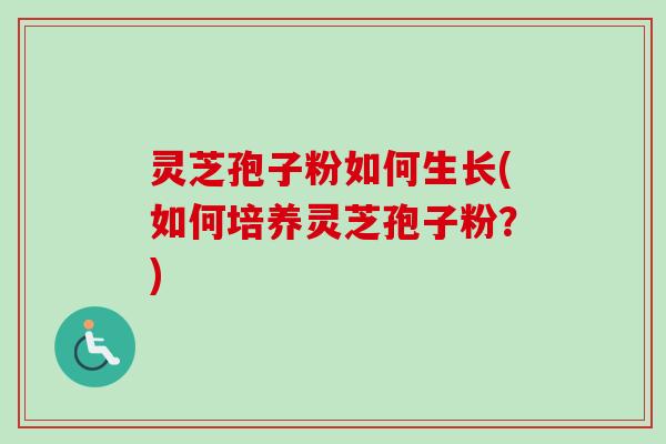 灵芝孢子粉如何生长(如何培养灵芝孢子粉?)-第1张图片-卓越灵芝孢子粉 灵芝孢子粉如何生长(如何培养灵芝孢子粉?)-第1张图片-卓越灵芝孢子粉