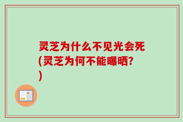 灵芝为什么不见光会死(灵芝为何不能曝晒？)-第1张图片-卓越灵芝孢子粉