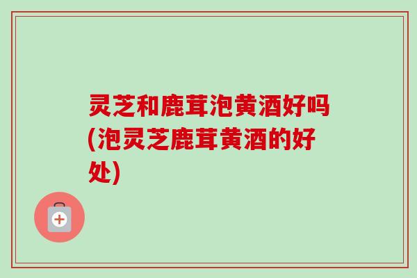 灵芝和鹿茸泡黄酒好吗(泡灵芝鹿茸黄酒的好处)-第1张图片-卓越灵芝孢子粉