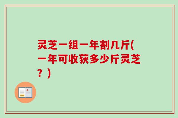 灵芝一组一年割几斤(一年可收获多少斤灵芝?)-第1张图片-卓越灵芝孢子粉 灵芝一组一年割几斤(一年可收获多少斤灵芝?)-第1张图片-卓越灵芝孢子粉