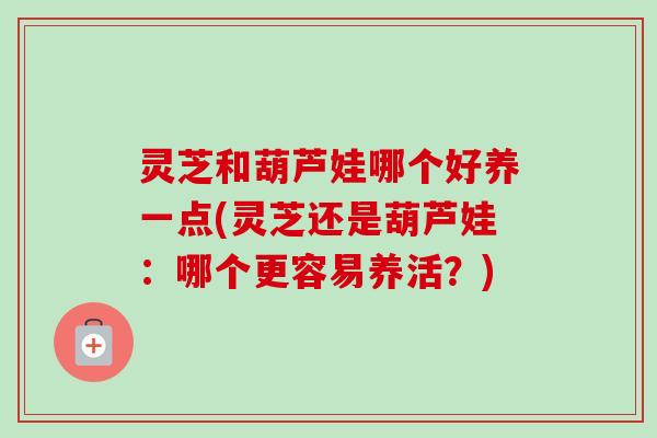 灵芝和葫芦娃哪个好养一点(灵芝还是葫芦娃:哪个更容易养活?)-第1张图片-卓越灵芝孢子粉 灵芝和葫芦娃哪个好养一点(灵芝还是葫芦娃:哪个更容易养活?)-第1张图片-卓越灵芝孢子粉