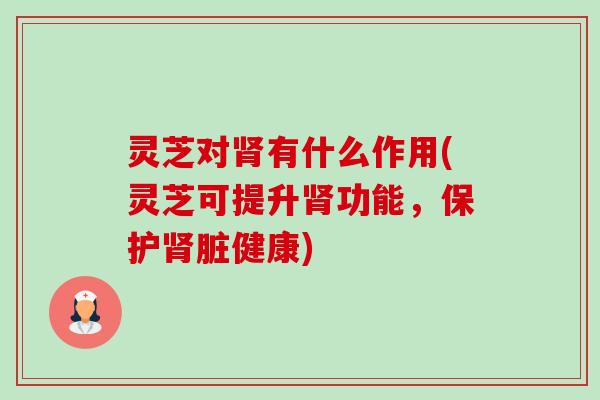 灵芝对肾有什么作用(灵芝可提升肾功能,保护肾脏健康)-第1张图片-卓越灵芝孢子粉 灵芝对肾有什么作用(灵芝可提升肾功能,保护肾脏健康)-第1张图片-卓越灵芝孢子粉