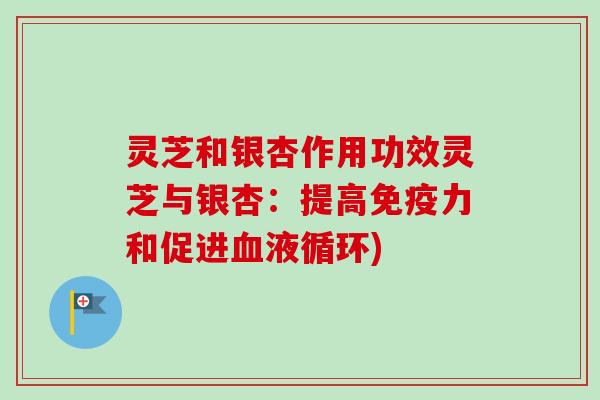 灵芝和银杏作用功效灵芝与银杏:提高免疫力和促进血液循环)-第1张图片-卓越灵芝孢子粉 灵芝和银杏作用功效灵芝与银杏:提高免疫力和促进血液循环)-第1张图片-卓越灵芝孢子粉