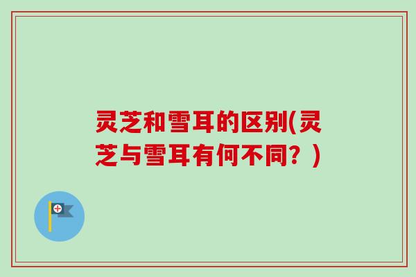 灵芝和雪耳的区别(灵芝与雪耳有何不同?)-第1张图片-卓越灵芝孢子粉 灵芝和雪耳的区别(灵芝与雪耳有何不同?)-第1张图片-卓越灵芝孢子粉