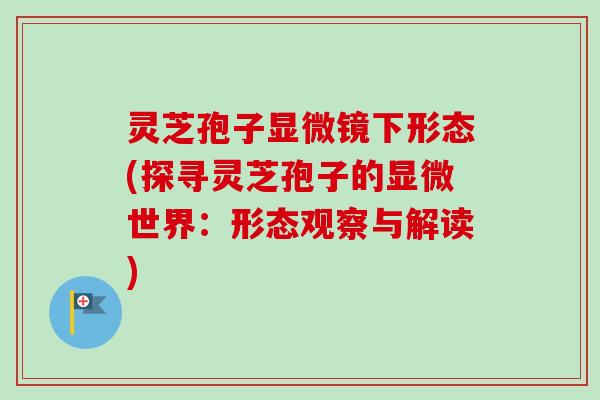 灵芝孢子显微镜下形态(探寻灵芝孢子的显微世界：形态观察与解读)-第1张图片-卓越灵芝孢子粉