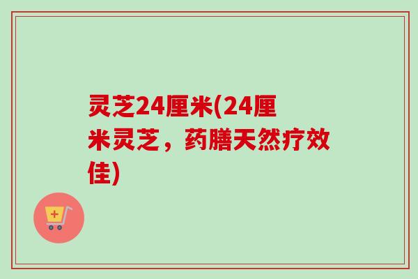 灵芝24厘米(24厘米灵芝,药膳天然疗效佳)-第1张图片-卓越灵芝孢子粉 灵芝24厘米(24厘米灵芝,药膳天然疗效佳)-第1张图片-卓越灵芝孢子粉