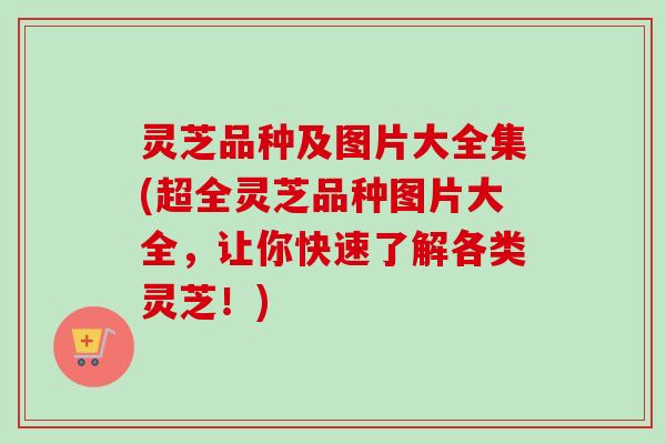 灵芝品种及图片大全集(超全灵芝品种图片大全,让你快速了解各类灵芝!)-第1张图片-卓越灵芝孢子粉 灵芝品种及图片大全集(超全灵芝品种图片大全,让你快速了解各类灵芝!)-第1张图片-卓越灵芝孢子粉