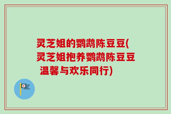 灵芝姐的鹦鹉陈豆豆(灵芝姐抱养鹦鹉陈豆豆 温馨与欢乐同行)-第1张图片-卓越灵芝孢子粉 灵芝姐的鹦鹉陈豆豆(灵芝姐抱养鹦鹉陈豆豆 温馨与欢乐同行)-第1张图片-卓越灵芝孢子粉