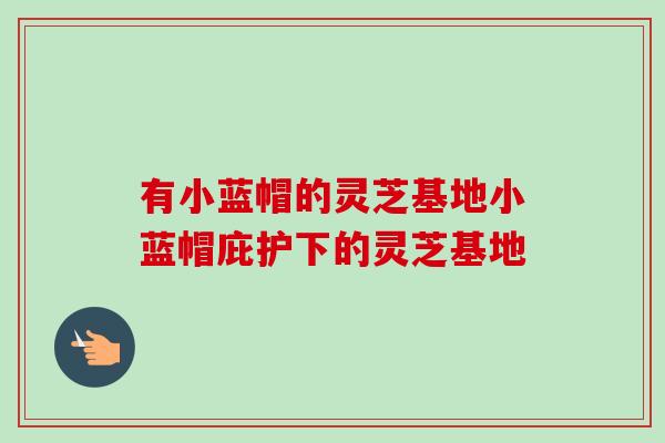 有小蓝帽的灵芝基地小蓝帽庇护下的灵芝基地-第1张图片-卓越灵芝孢子粉 有小蓝帽的灵芝基地小蓝帽庇护下的灵芝基地-第1张图片-卓越灵芝孢子粉