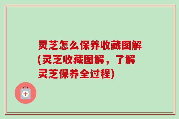 灵芝怎么保养收藏图解(灵芝收藏图解,了解灵芝保养全过程)-第1张图片-卓越灵芝孢子粉 灵芝怎么保养收藏图解(灵芝收藏图解,了解灵芝保养全过程)-第1张图片-卓越灵芝孢子粉