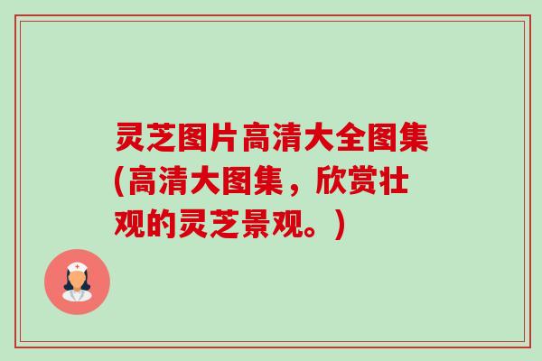 灵芝图片高清大全图集(高清大图集,欣赏壮观的灵芝景观。)-第1张图片-卓越灵芝孢子粉 灵芝图片高清大全图集(高清大图集,欣赏壮观的灵芝景观。)-第1张图片-卓越灵芝孢子粉