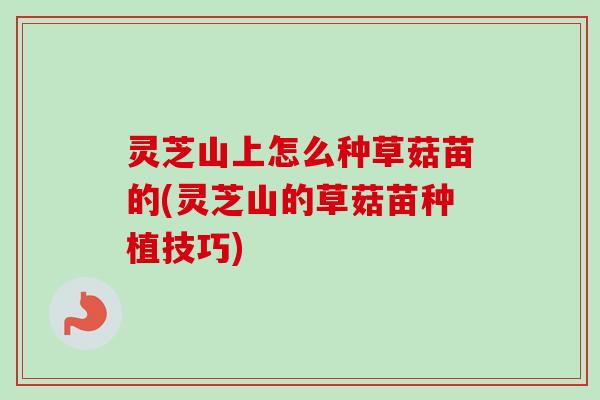 灵芝山上怎么种草菇苗的(灵芝山的草菇苗种植技巧)-第1张图片-卓越灵芝孢子粉
