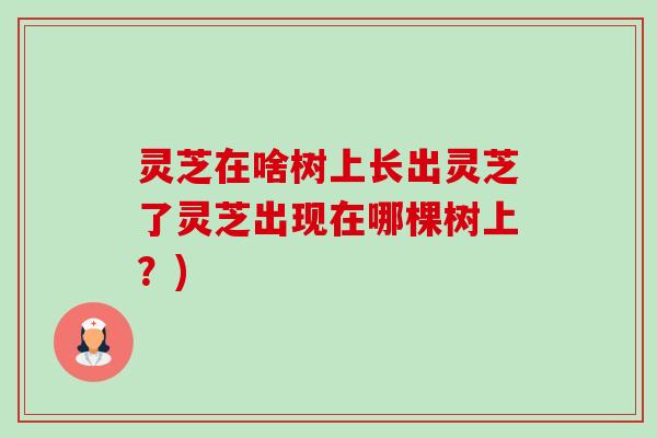 灵芝在啥树上长出灵芝了灵芝出现在哪棵树上?)-第1张图片-卓越灵芝孢子粉 灵芝在啥树上长出灵芝了灵芝出现在哪棵树上?)-第1张图片-卓越灵芝孢子粉